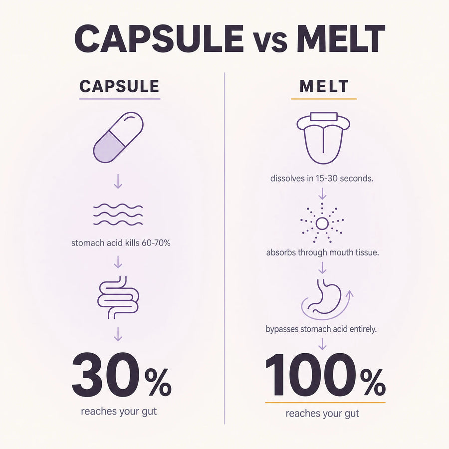 Capsule vs Melt — strip absorbs through mouth tissue and bypasses stomach acid
